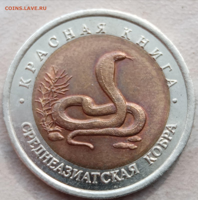 10 рублей Среднеазиатская кобра смещение вставки до 21.05.21 - IMG_20210430_154530