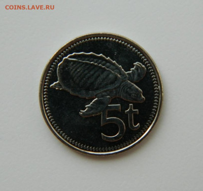 Папуа-Новая Гвинея 5 тойя 2009 г. (Фауна). до 24.05.21 - DSCN8899.JPG