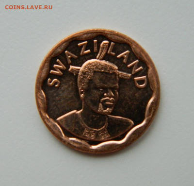 Свазиленд 5 центов 2011 г. (без обращения). до 24.05.21 - DSCN8982.JPG