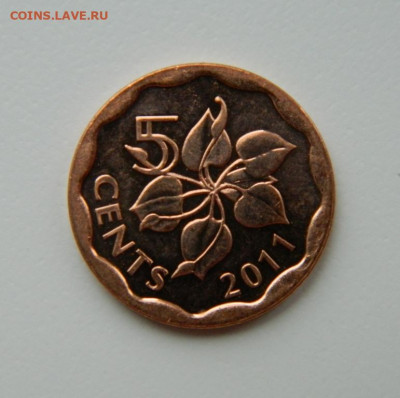 Свазиленд 5 центов 2011 г. (без обращения). до 24.05.21 - DSCN8983.JPG