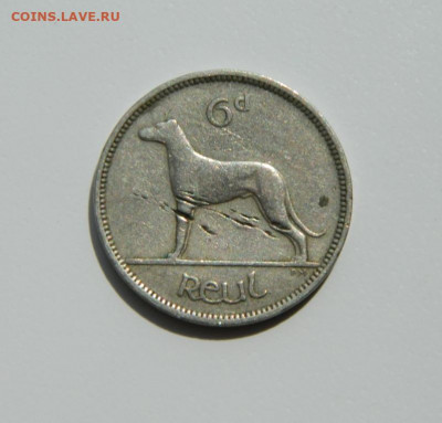 Ирландия 6 пенсов 1946 г. (Фауна) до 24.05.21 - DSCN9052.JPG