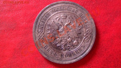 5 копеек 1911 спб - PIC_2810.JPG