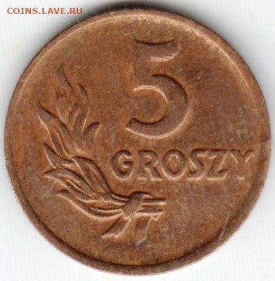 Польша 5 грошей 1949 г. Бронза до 30.05.21 г. в 23.00 - 033