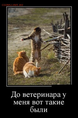 Про Беларусь - 210404