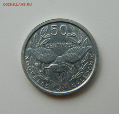 Новая Каледония 50 сантимов 1949 г. (Фауна) до 27.05.21 - DSCN9105.JPG