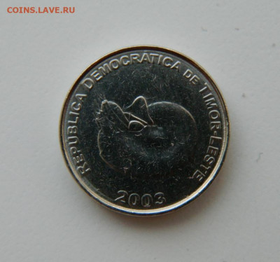 Восточный Тимор 1 сентаво 2003 г. (Фауна) до 27.05.21 - DSCN9127.JPG