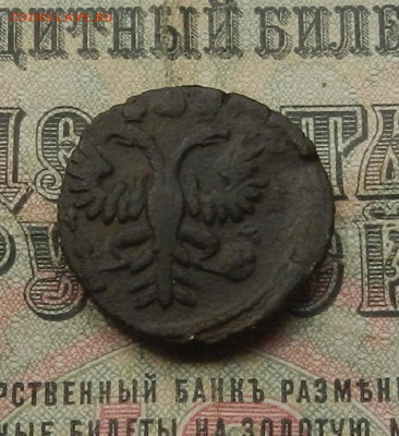 Полушка 1731 перечекан. до 27.05 в 22.00. - DSCN6247.JPG