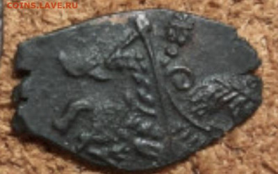 Превращение чешуи (сенсация). - F08E4C95-C240-4A1C-B131-C30D3A9E0ADD