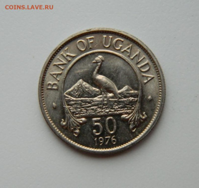 Уганда 50 центов 1976 г. (Фауна) до 01.06.21 - DSCN9251.JPG