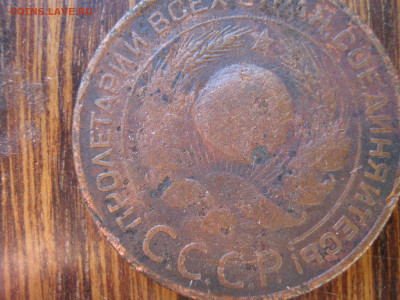 3 коп. 1924г. 4 стебля? - 2.JPG