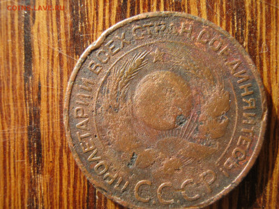 3 коп. 1924г. 4 стебля? - 3.JPG