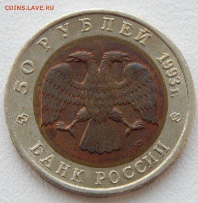 КК 50 рублей 1993 Черноморская Афалина до 31.05.21 22 00 мск - DSCN5290.JPG