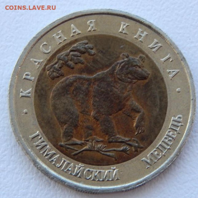 КК 50 рублей 1993 Гималайский медведь до 31.05.21 22 00 мск - DSCN5323.JPG