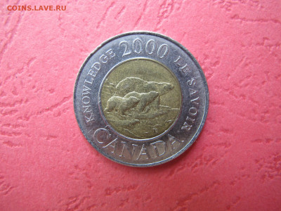 2 доллара 2000 Канада (медведица с медвежатами), биметалл - IMG_3190.JPG