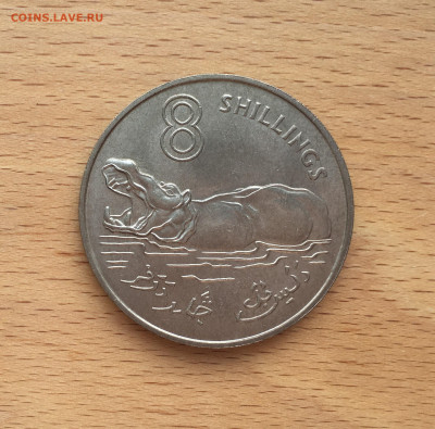 Крона Шайба Гамбия 8 шиллингов 1970 Бегемот фауна - IMG_6050.JPG