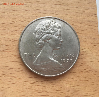 Крона Шайба Гамбия 8 шиллингов 1970 Бегемот фауна - IMG_6059.JPG