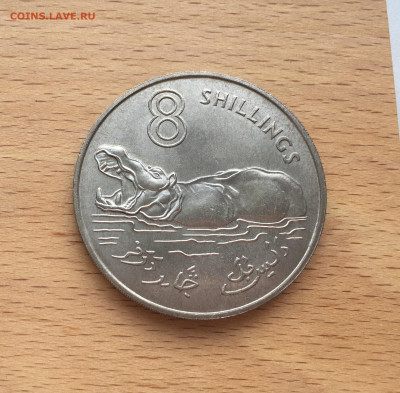Крона Шайба Гамбия 8 шиллингов 1970 Бегемот фауна - IMG_6052.JPG