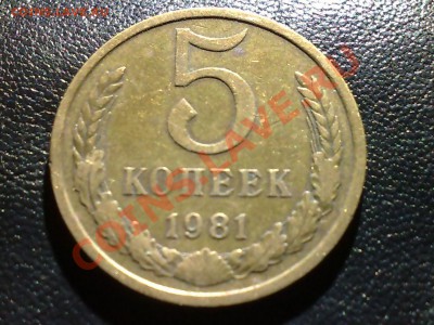 5 копеек 1981г - 181020111174