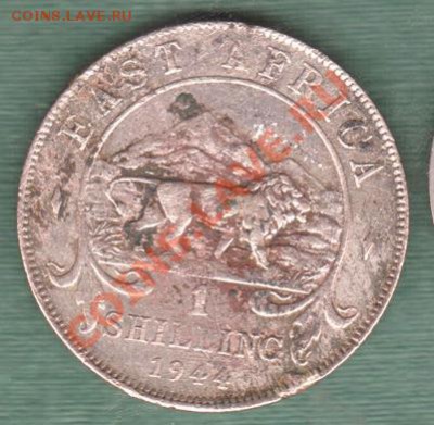 Британская Восточная Африка, 1 Шиллинг 1944  (20.10) - 4
