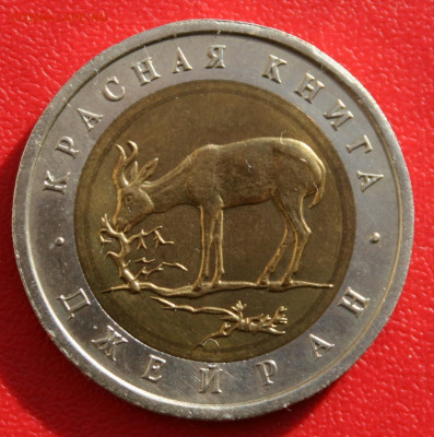 Флот, Победа и Красная Книга на предпродажную оценку. - IMG_6796.JPG