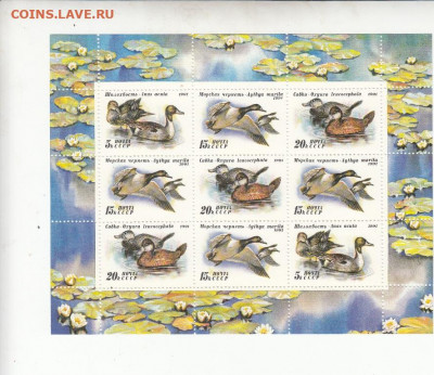 СССР 1991 утки малый лист до 03 06 - 23