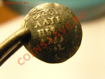 Алтынник 1711 - SNV14997.JPG