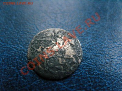 Алтынник 1711 - SNV15056.JPG