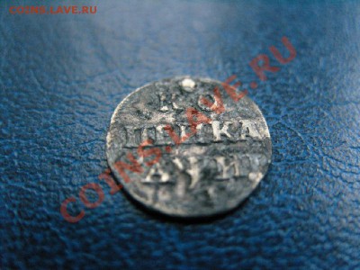 Алтынник 1711 - SNV15057.JPG