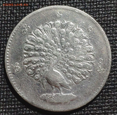 Бирма 1 рупия(кьят) 1852 Павлин - 1622471223508