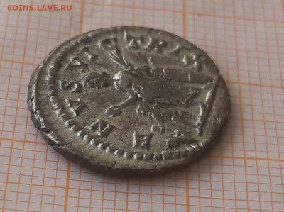 Подлинность Плавциллы - ПЦ3