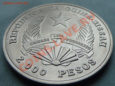 ГВИНЕЯ-БИСАУ 2000песо 1995г. 50-летие FAO, до 25.10.11 в 22- - MEMO0040.JPG