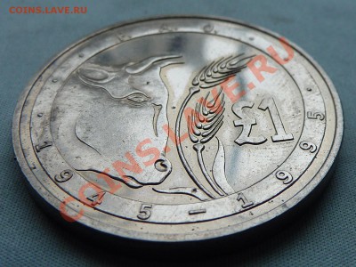 КИПР 1 ФУНТ 1995г. 50-летие FAO,до 25.10.11 в 22-00 - MEMO0034.JPG
