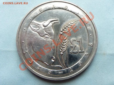 КИПР 1 ФУНТ 1995г. 50-летие FAO,до 25.10.11 в 22-00 - MEMO0033.JPG