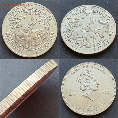 Замбия 5000 квач 2003 СЛОН Африка Фауна. До 04.06 - IMG_20210528_235653