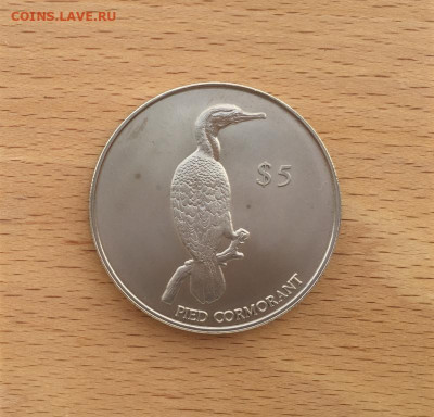 Крона Шайба Новая Зеландия 5$ долларов 2000 Баклан птица - krona_shajba_novaja_zelandija_5_dollarov_2000_baklan_unc_ptica_fauna_redkaja