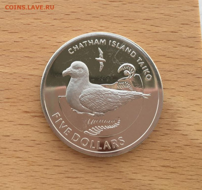 Крона Шайба Новая Зеландия 5$ долларов 2004 буревестник - krona_shajba_novaja_zelandija_5_dollarov_2004_chatamskij_tajfunnik_burevestnik_ptica_fauna_tirazh_1350