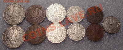 Чехия, Польша, Швеция, бельгия - DSC01385.JPG