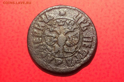 Полушка 1707 г. определение и оценка. - IMG_4084 (2).JPG