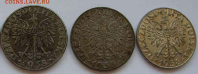 Польша 50 грошей 1938 - определение типов - 50 гр 1938 - 2