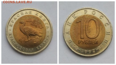 10 рублей 1992 Краснозобая казарка - Казарка