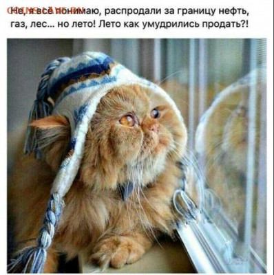юмор - Безымянный