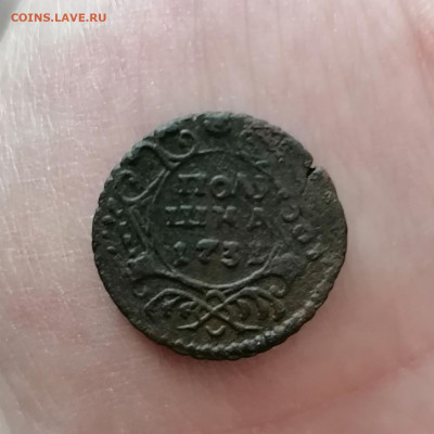 Полушка 1731 перечекан из крестовой коп Петра 1 до 10.06.21 - IMG_20210606_133418
