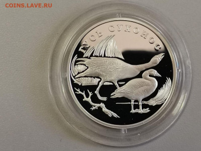 1р 2006г Гусь Сухонос пруф серебро, Ag925, до 13.06 - Y Гусь сухонос-1