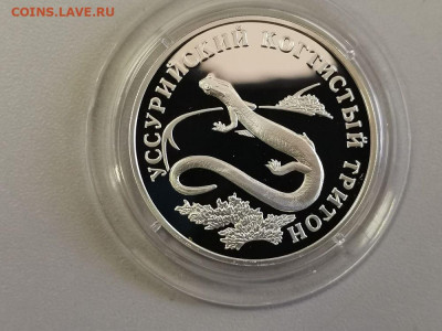 1р 2006г Когтистый тритон пруф серебро, Ag925, до 13.06 - Y Тритон-1