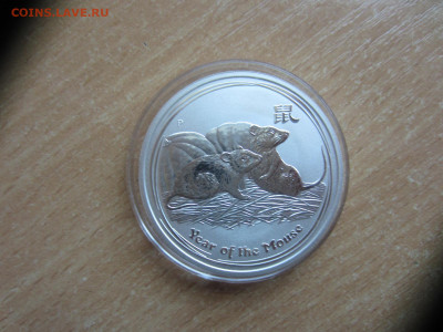 Австралия 1 доллар 2008 г. Год крысы до 10.06 в 22.00 мск - IMG_1546.JPG