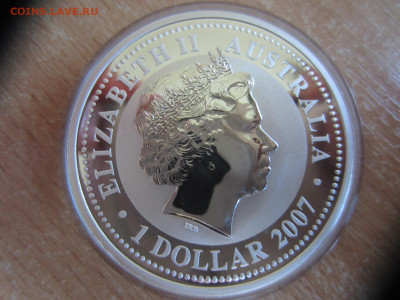 Австралия 1 доллар 2007 Год крысы(мыши) до 10.06 в 22.00 мск - IMG_1549.JPG