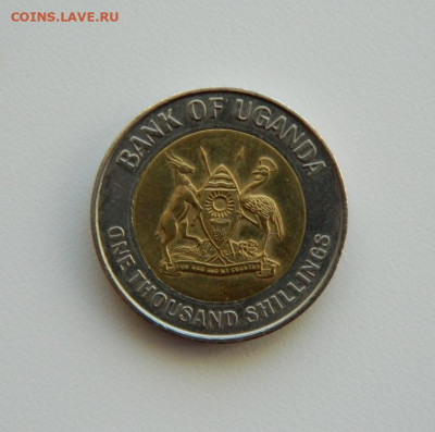Уганда 1000 шиллингов 2012 г. (Юбилейная)Фауна до 14.06.21 - DSCN6886.JPG