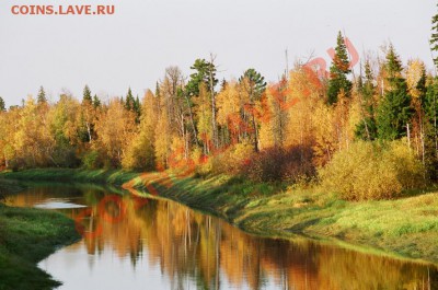 ФОТО - просто фото. Те что получились удачными. - image (99).JPG