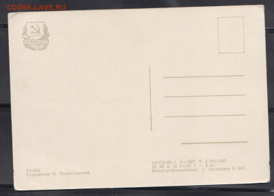 СССР 1960 ПК розы до 14 06 - 37а