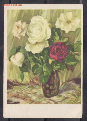 СССР 1960 ПК розы до 14 06 - 37